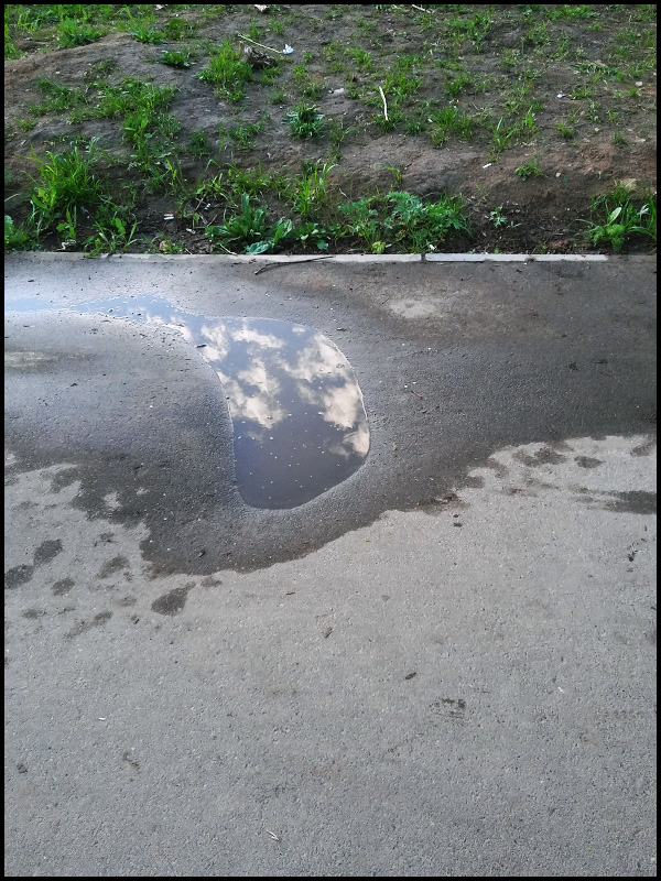 интродукция