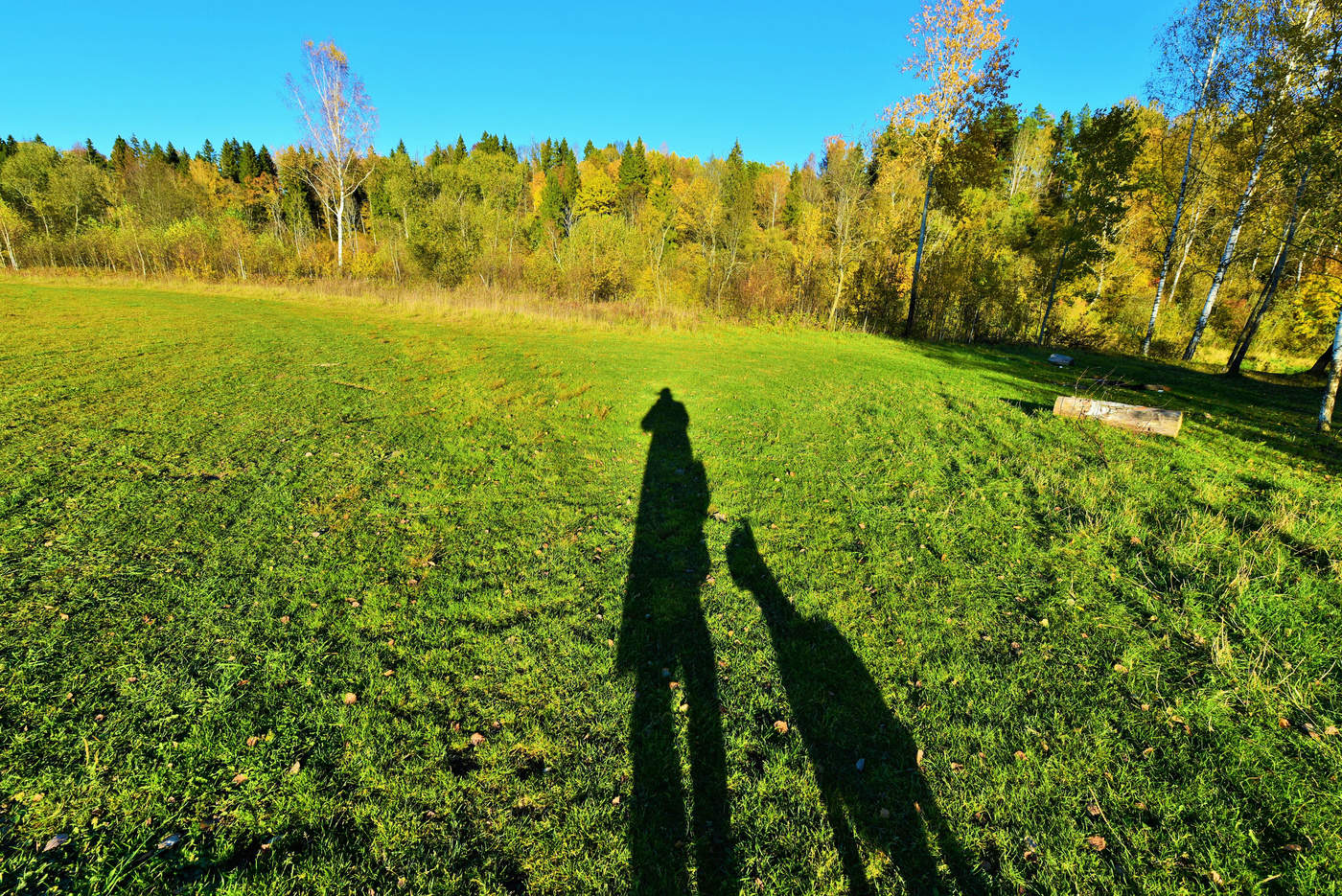 "Бьют часы, возвестившие осень ..."