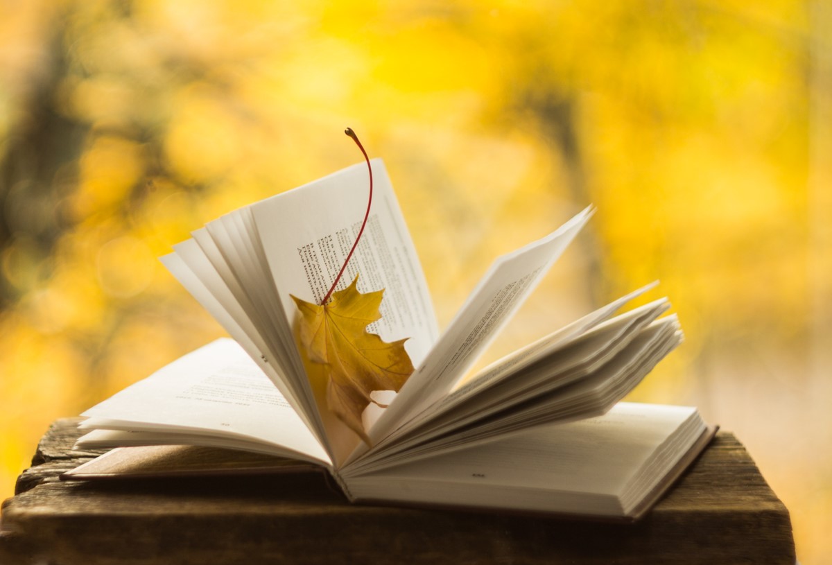 "сколько грусти и прелести в этом хрусте и шелесте!"...