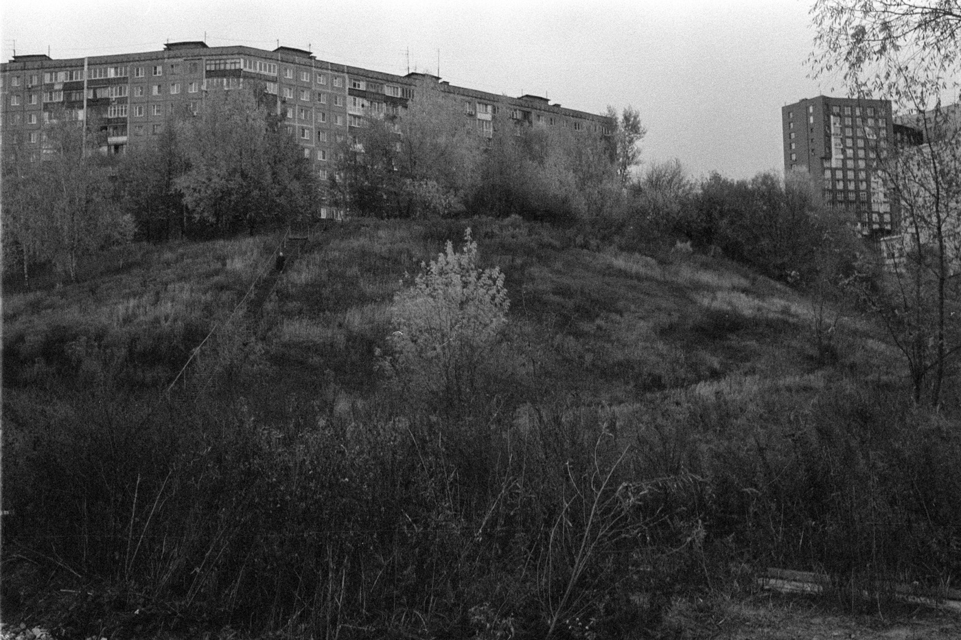 Золотая осень