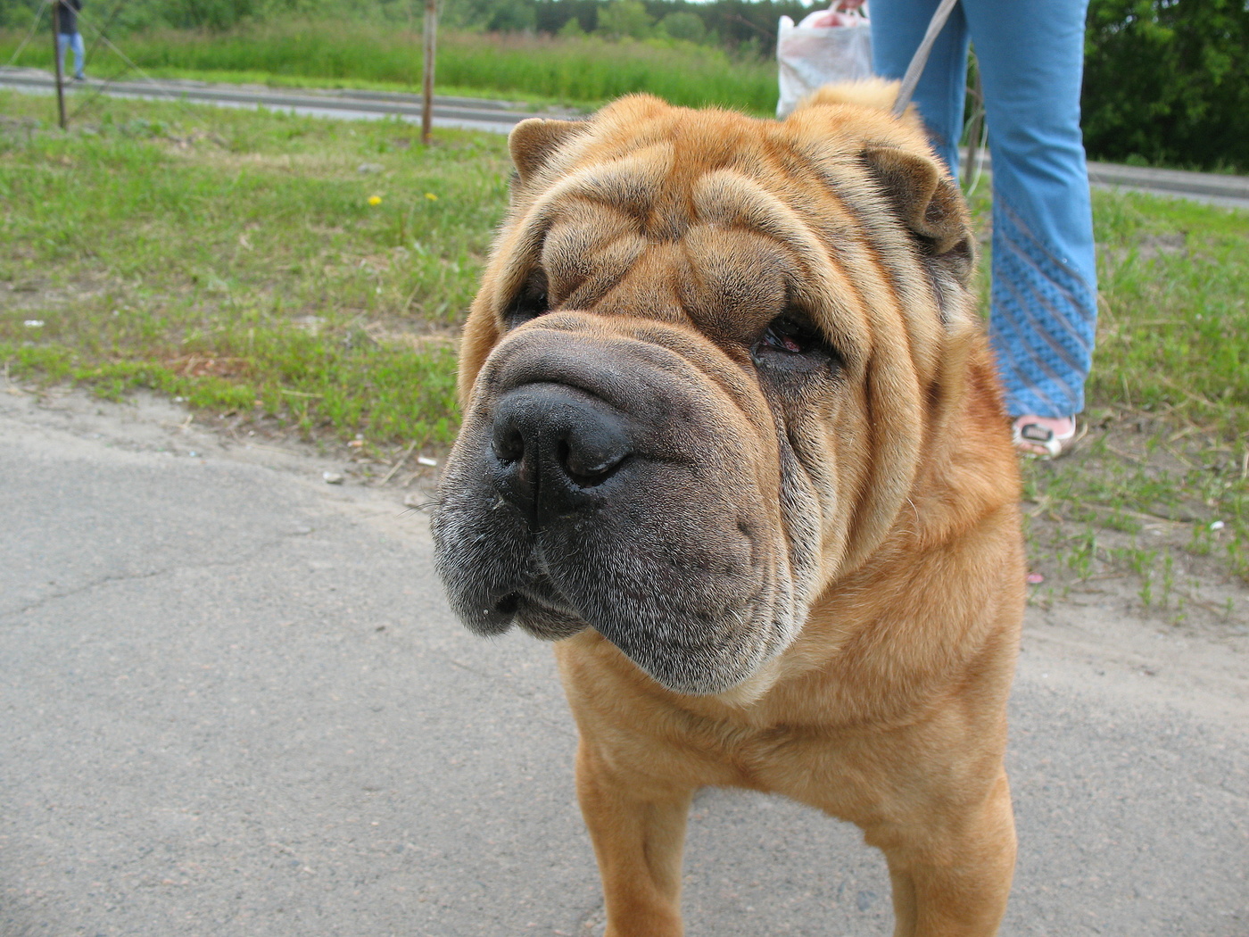 Старость не радость!