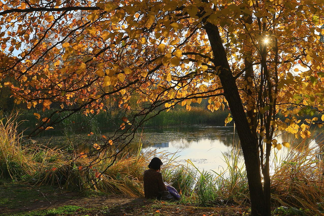 Благодатная пора!