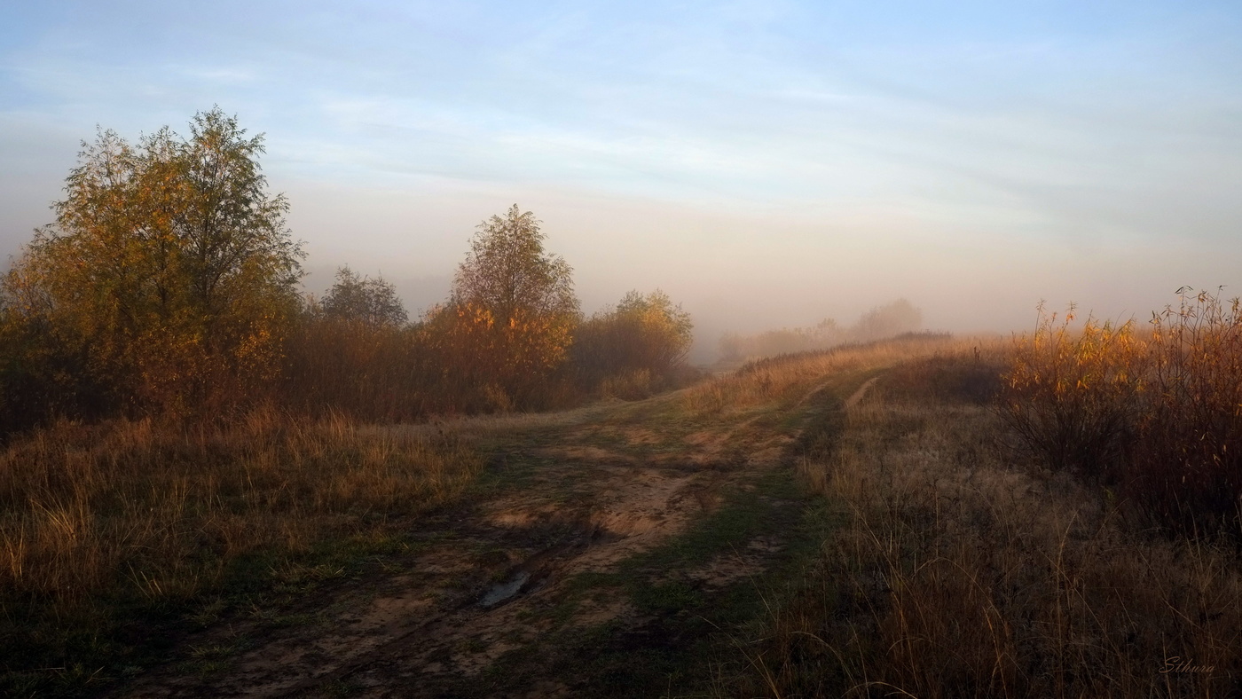 Сегодня утром.
