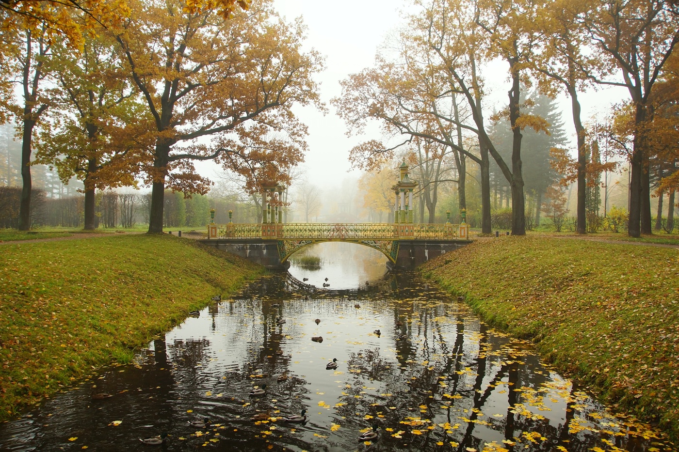 Осеннее утро...