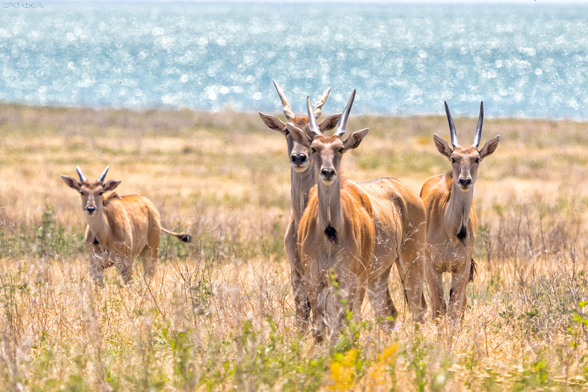 У самого синего моря