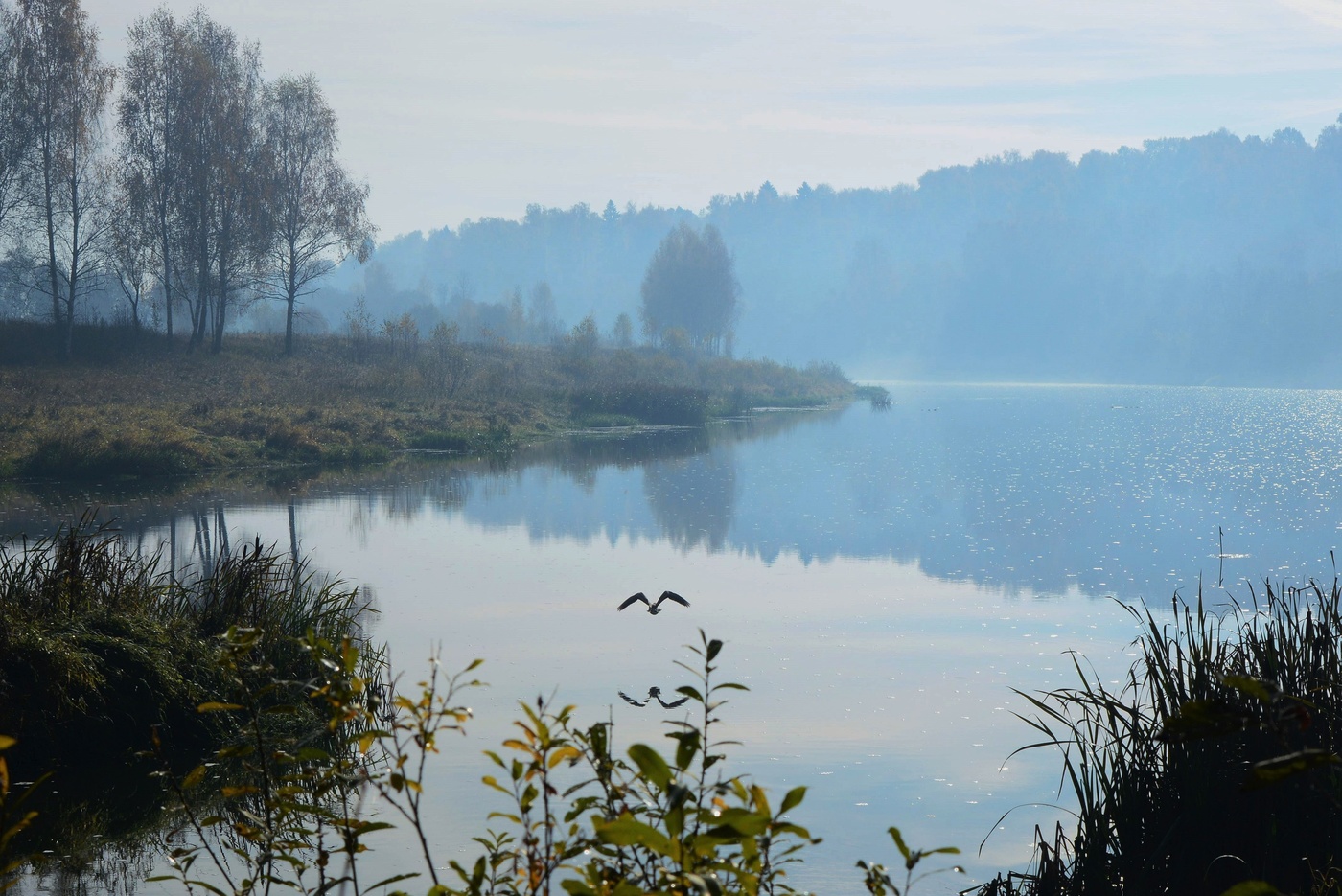 "Приди на берег утром рано ..."