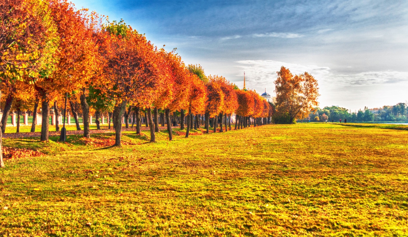 Парад Осени.