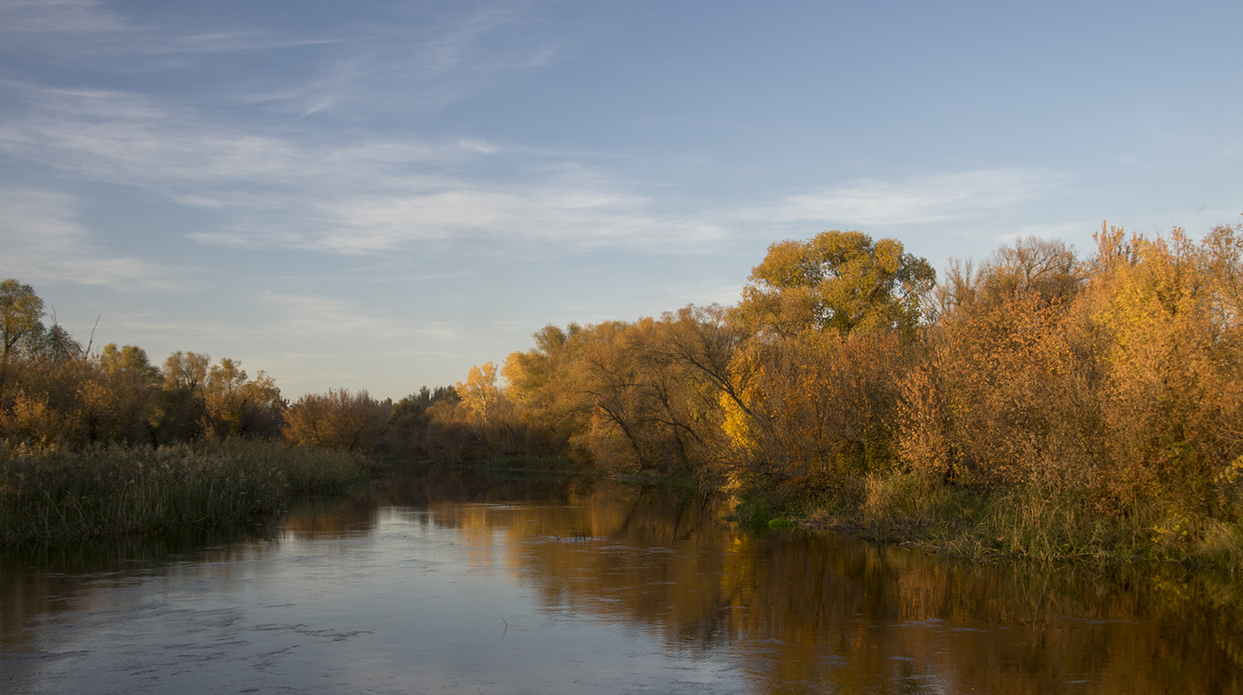 Красочная осень
