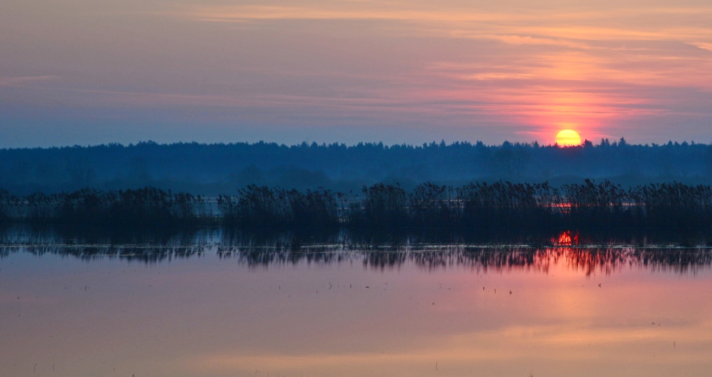 Рассветное...