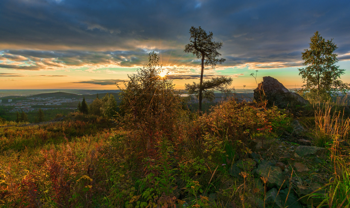 Осеннее разноцветье