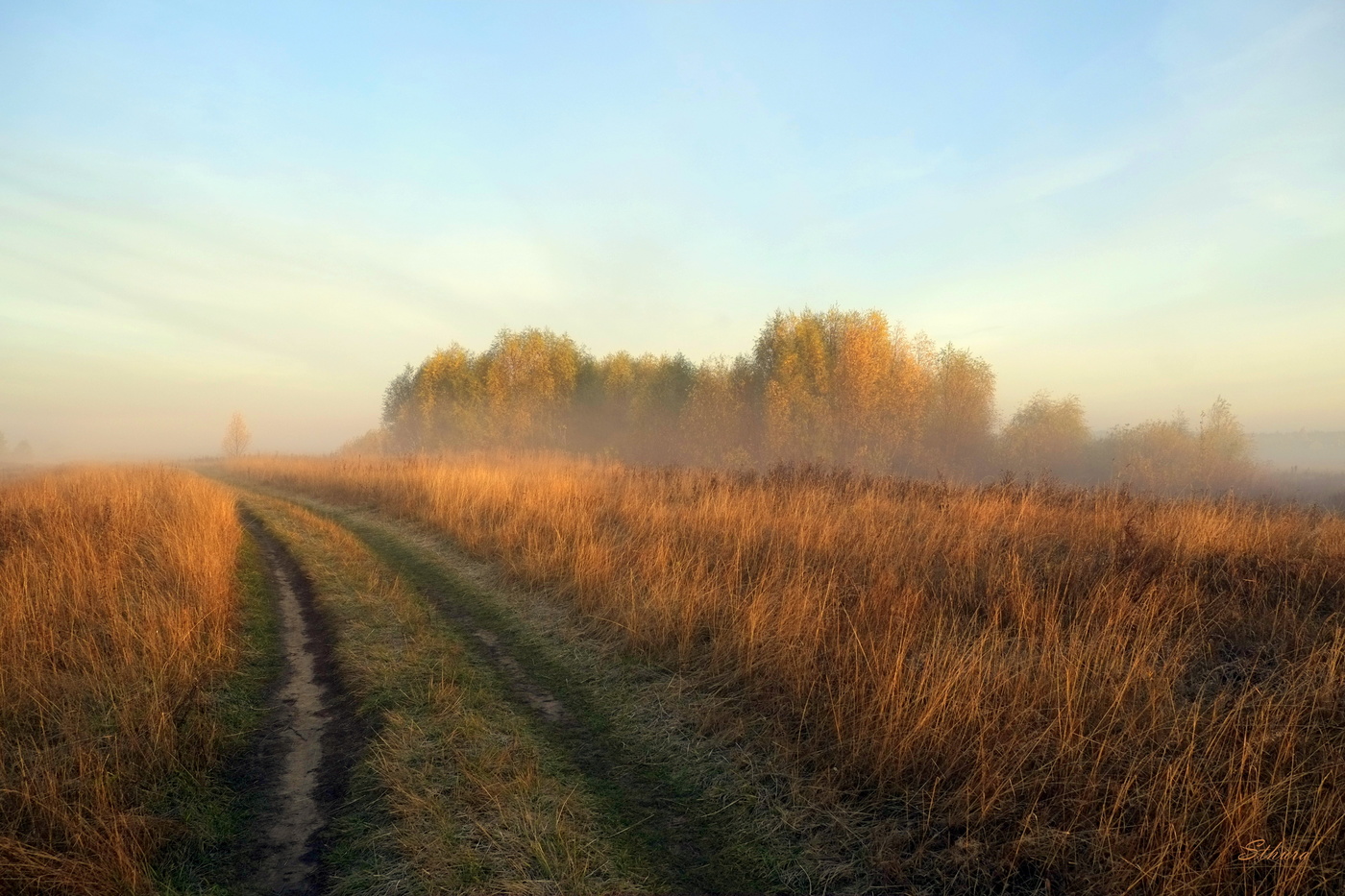 Утро в поле.
