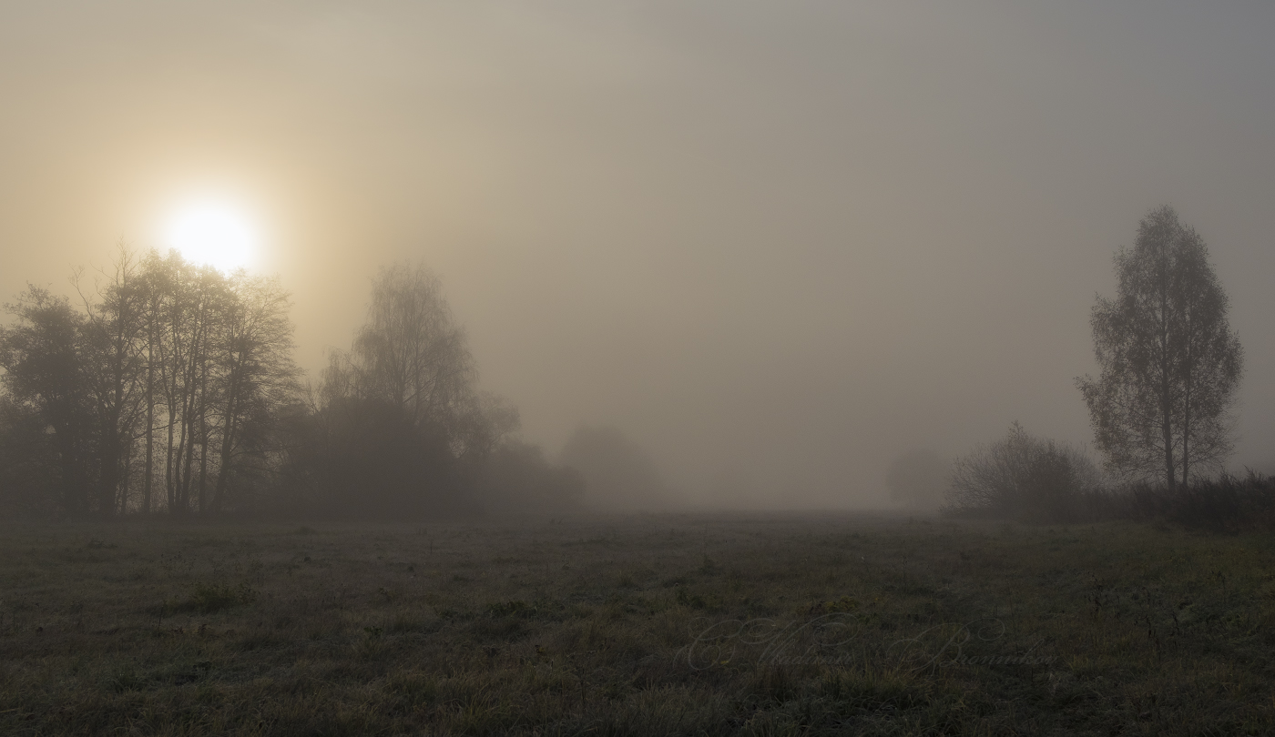 Пелена осеннего тумана