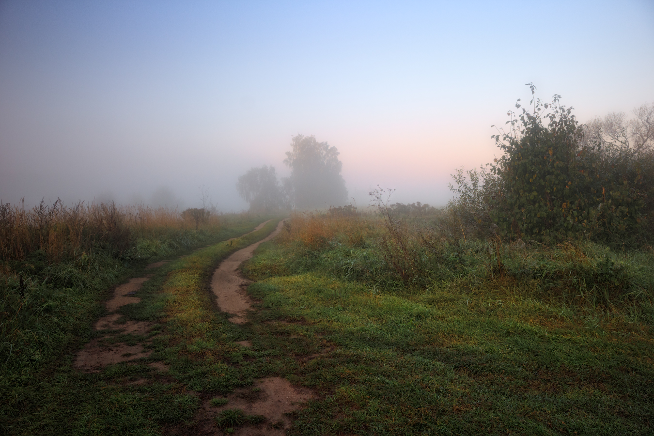 Осенние туманы