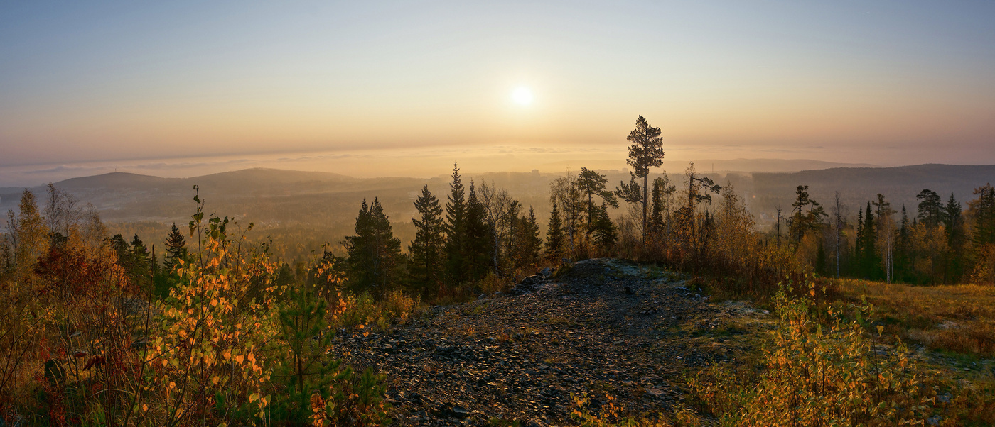 Туманное утро