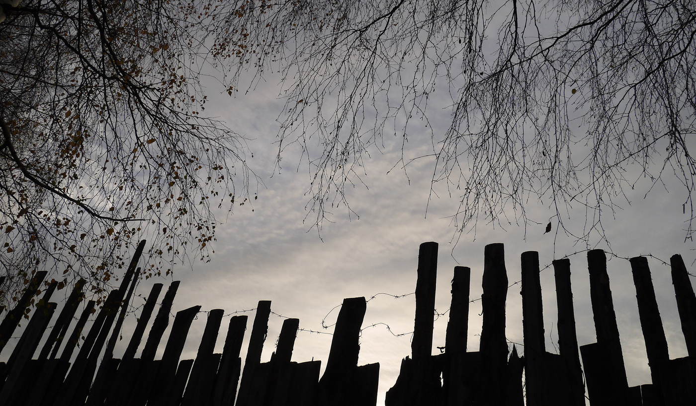 Обратная сторона свободы.