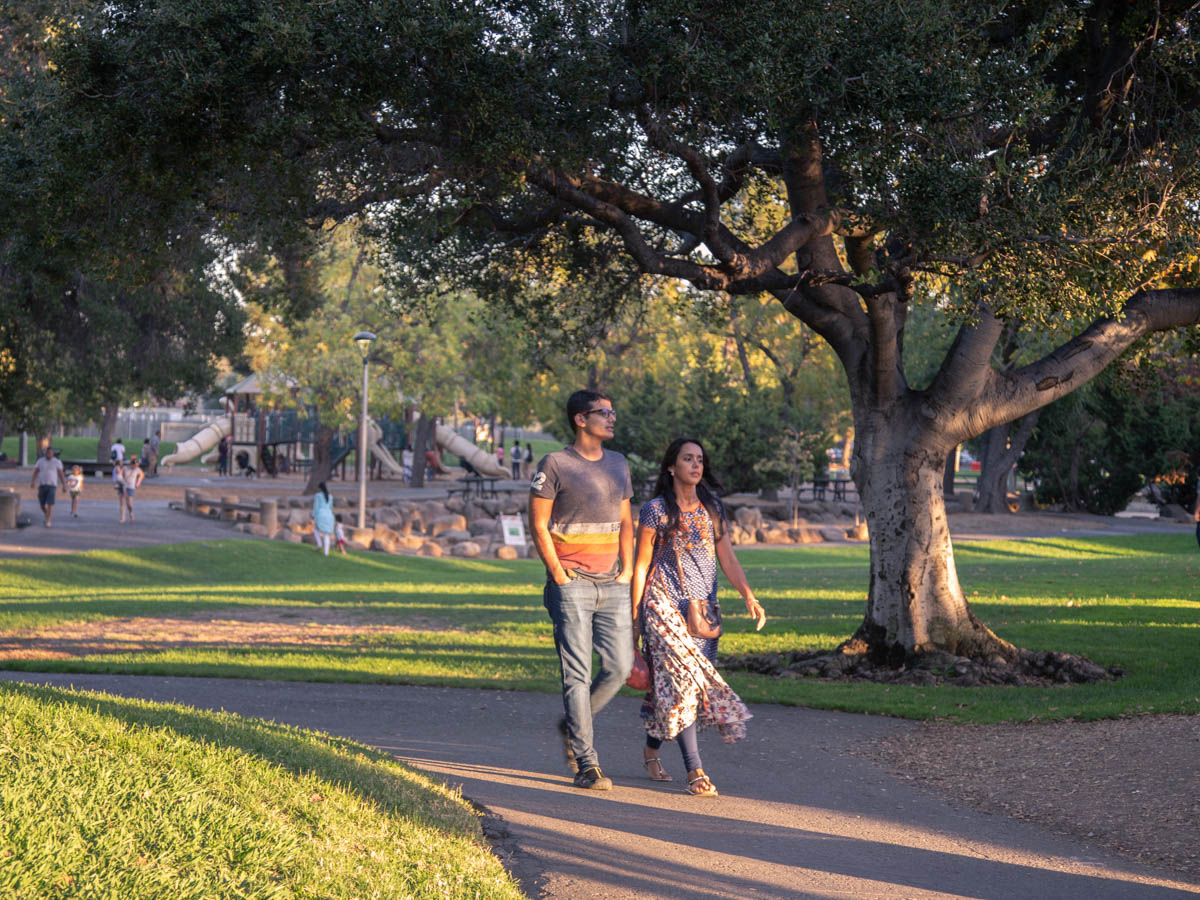 В нашем парке