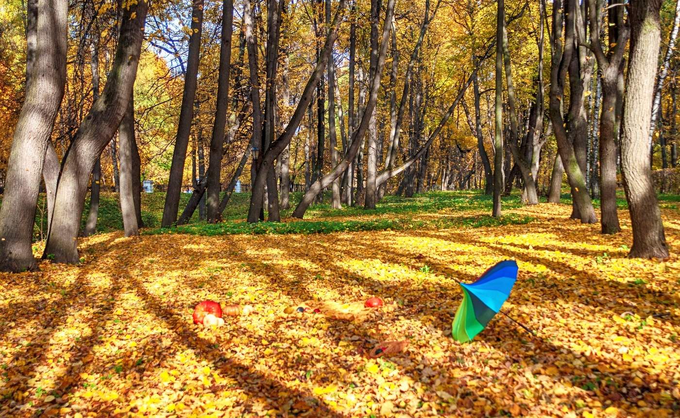 В тени Осени.