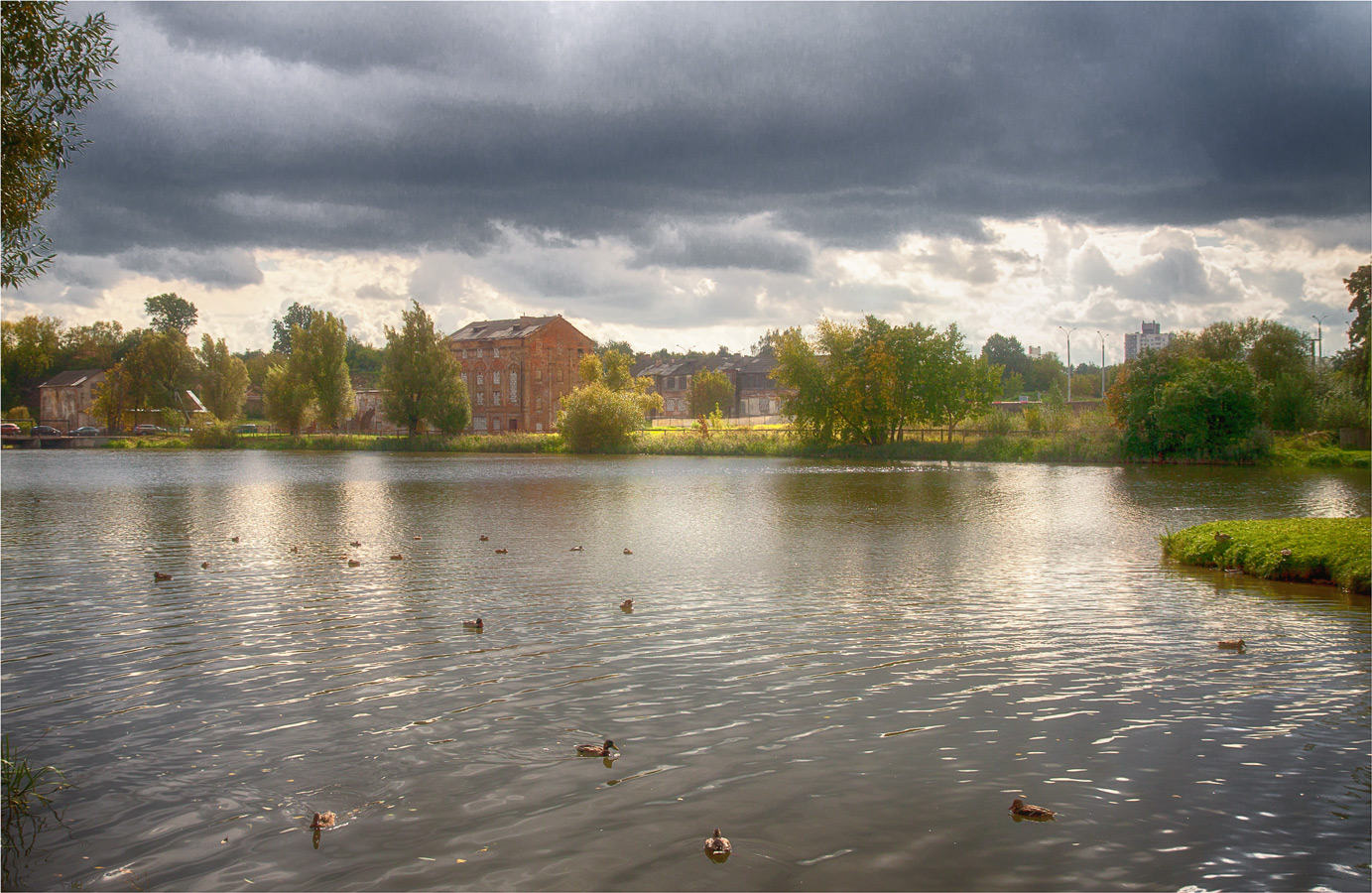 Утиные истории