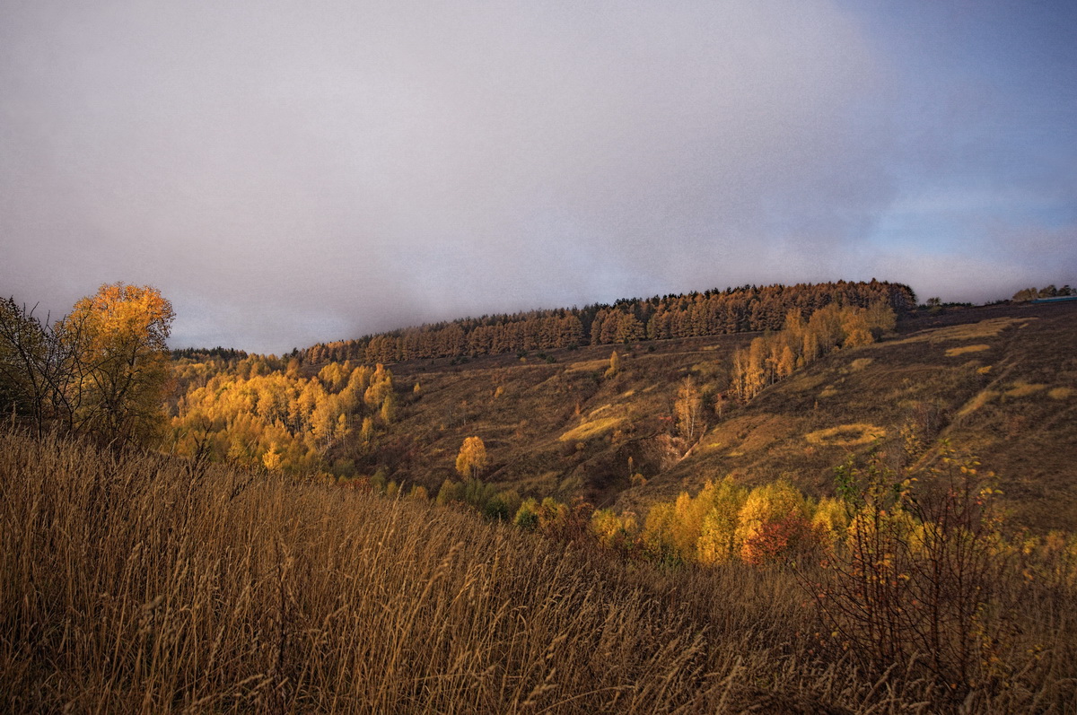 Мотивы осени