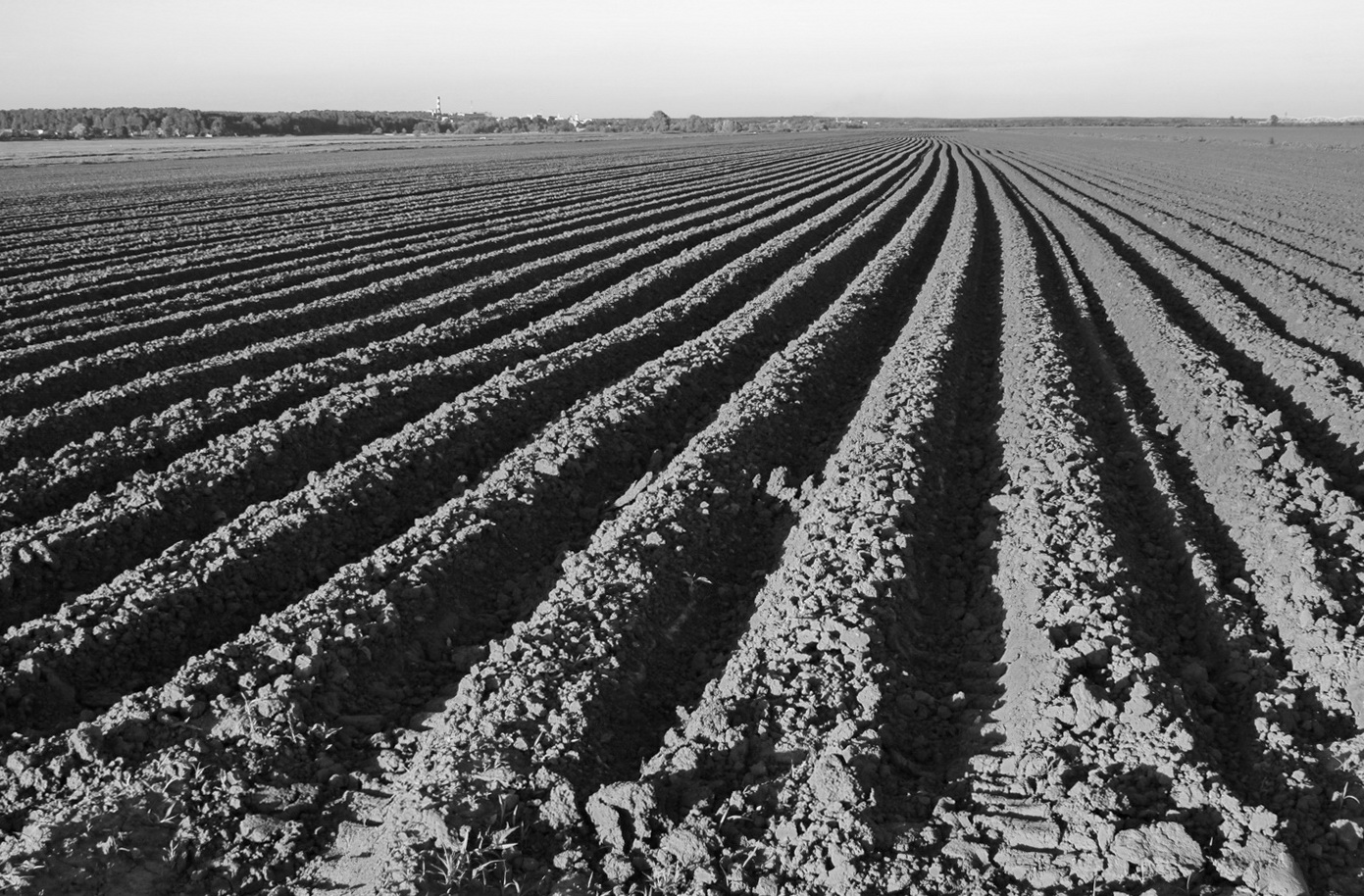 Повторимый момент