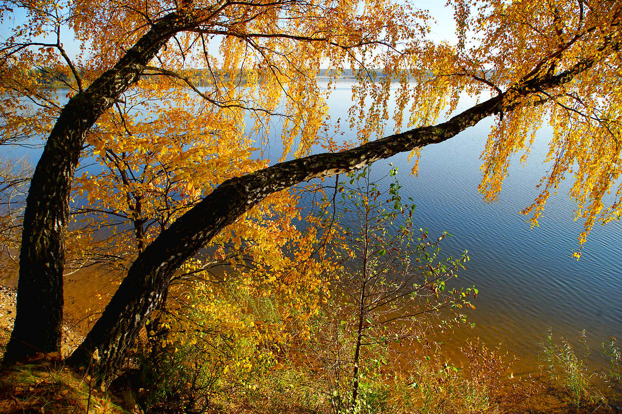 Повторимый момент