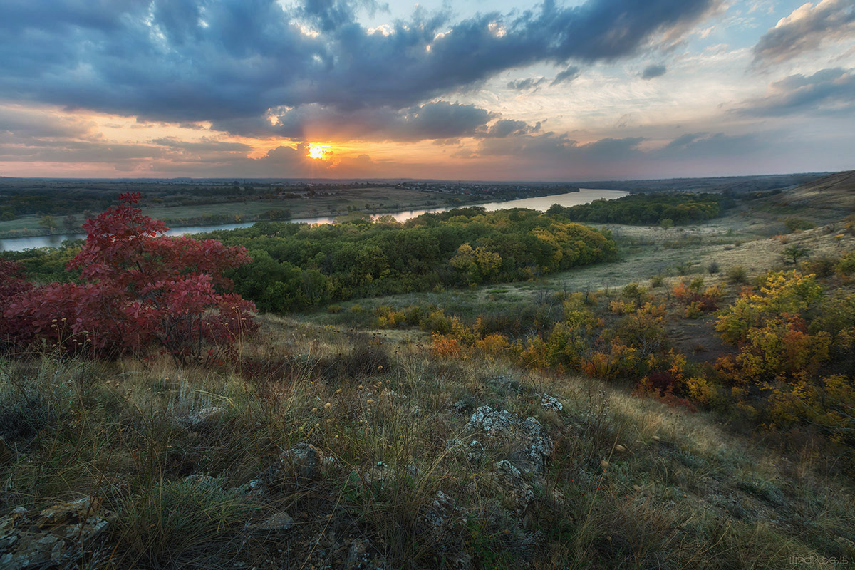 Добрый вечер