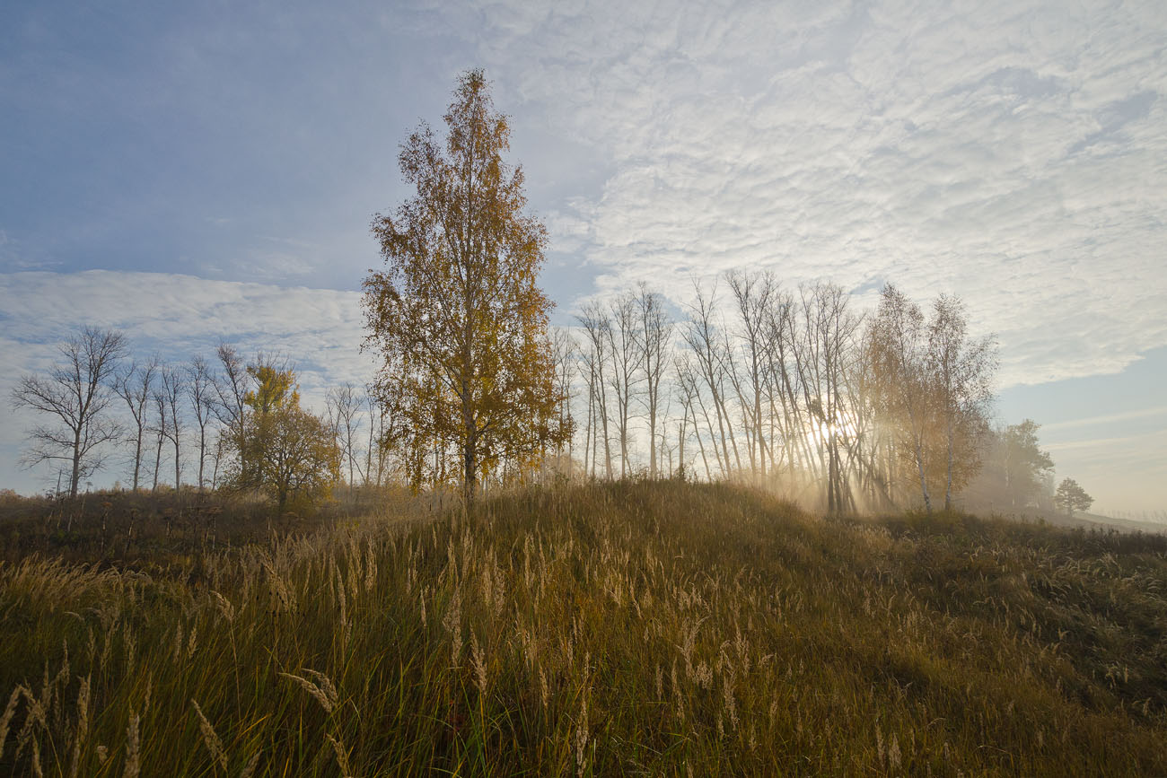 Осенняя быль