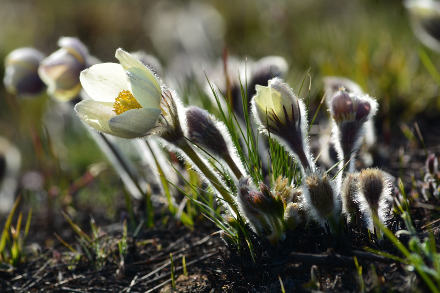 Повторимый момент.
