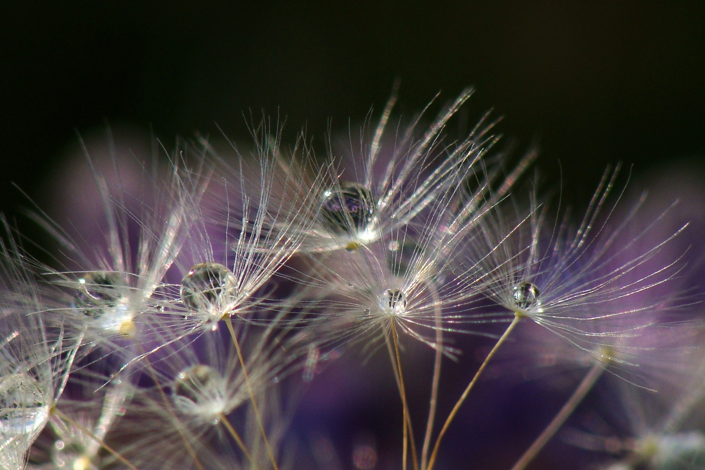 Повторимый момент