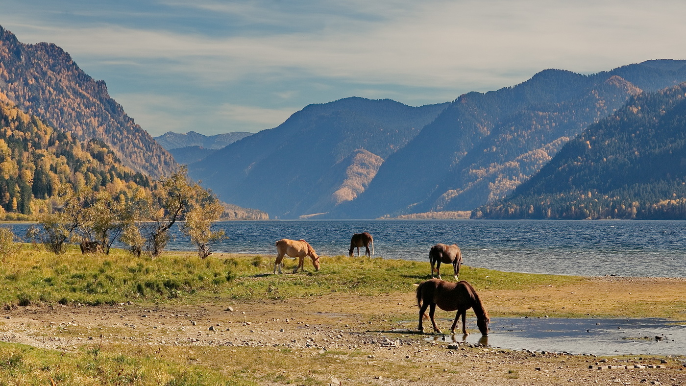 Осенним днем.
