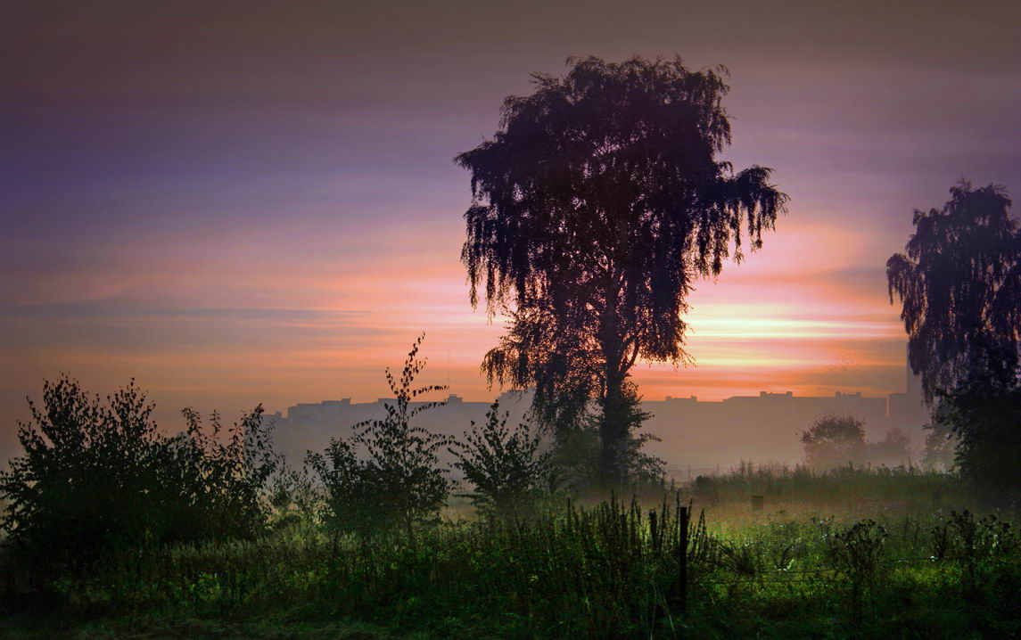 Осенние туманные закаты