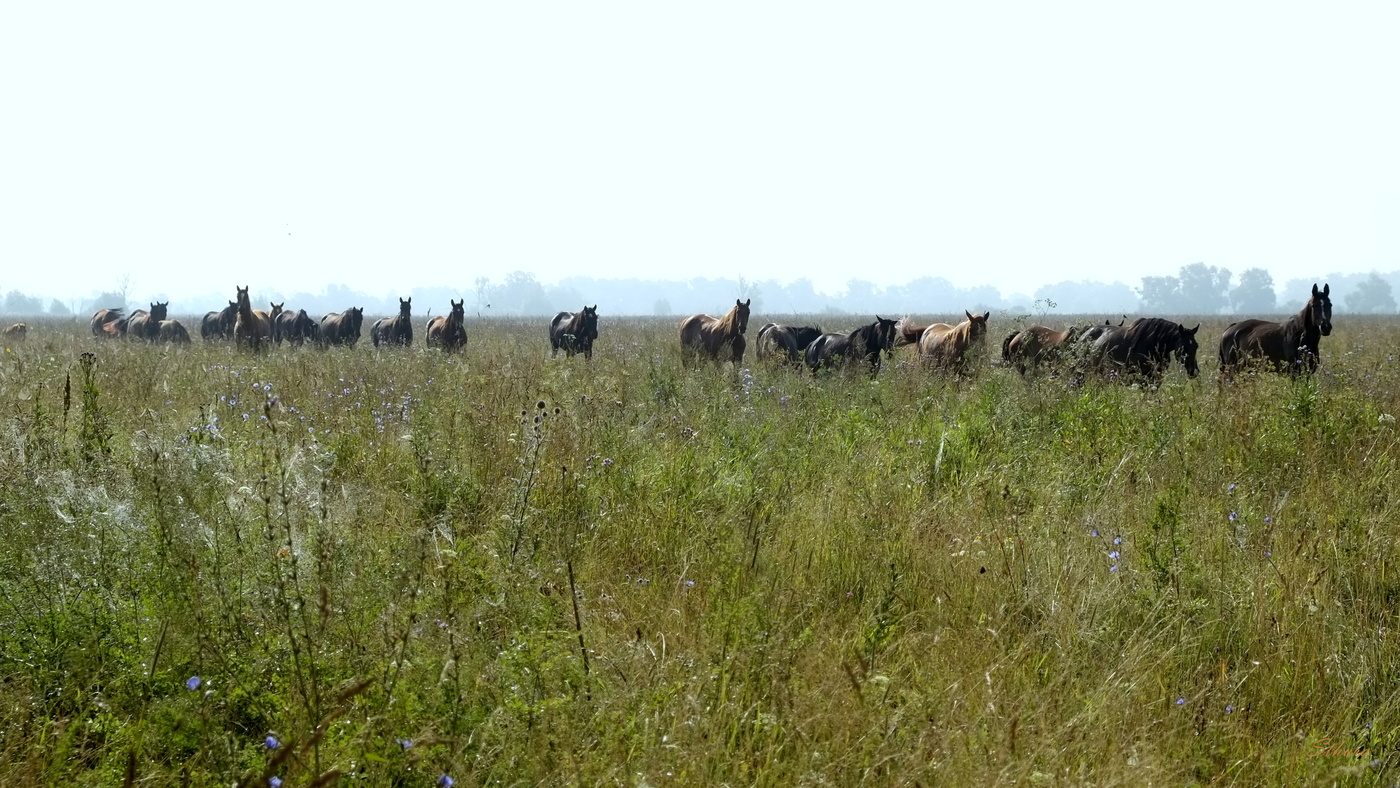 Повторимый момент