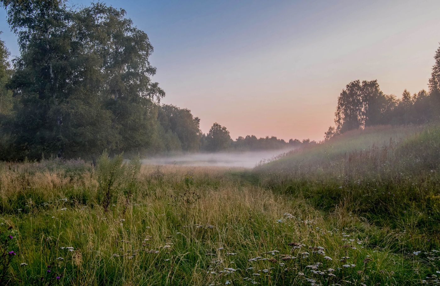 Вечерний туман