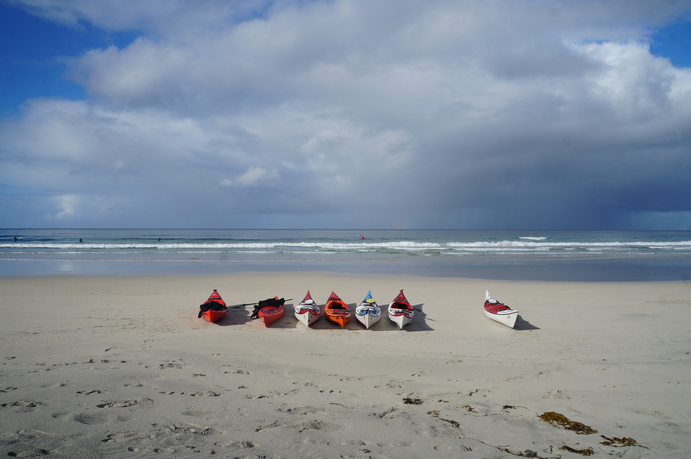 Единомышленники