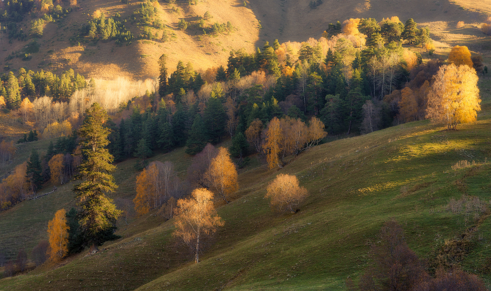 Повторимый момент