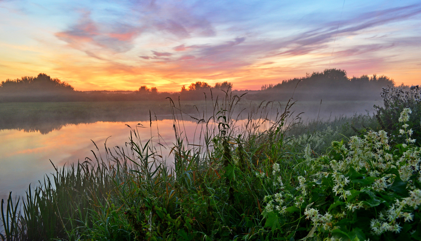 На тихой реке