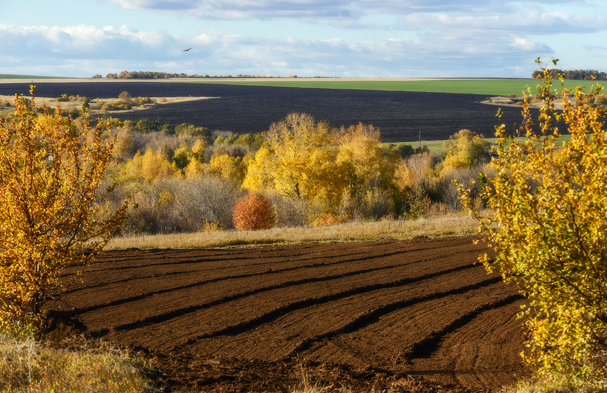 Про осень...
