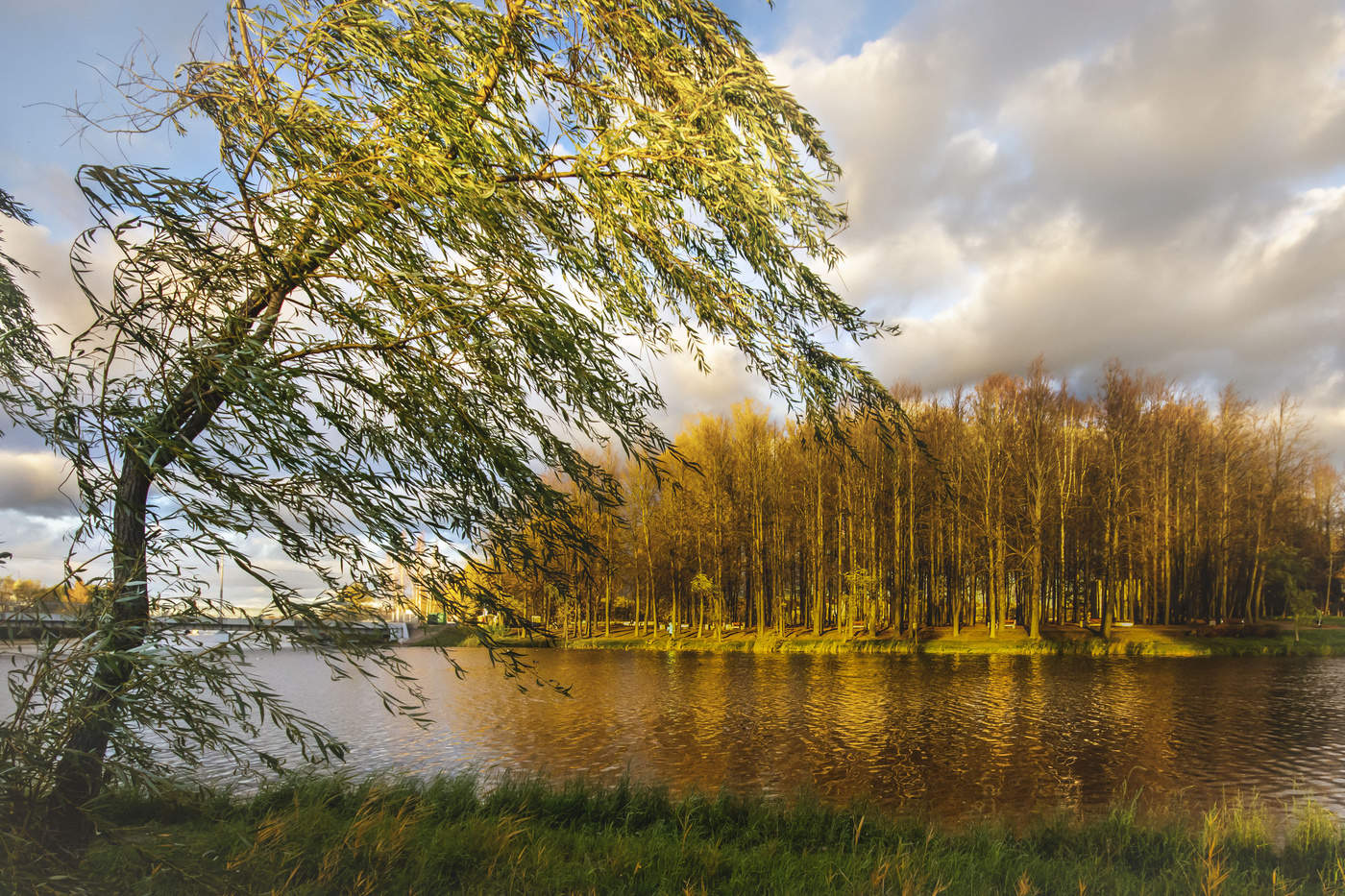 Солнечный остров