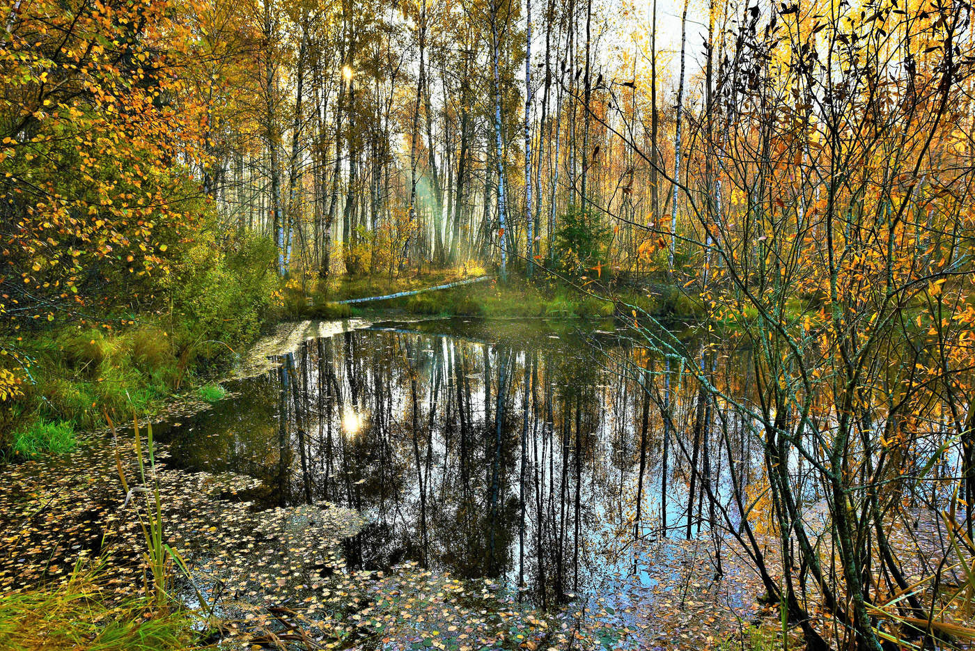 "Весь день стоит как бы хрустальный ..."