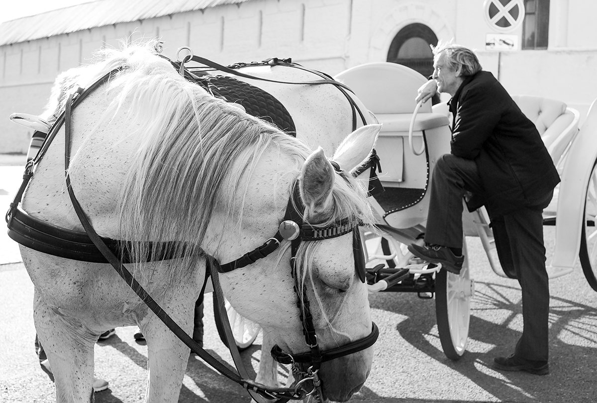 Мёртвый сезон...