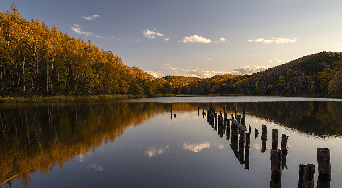 Осенний этюд