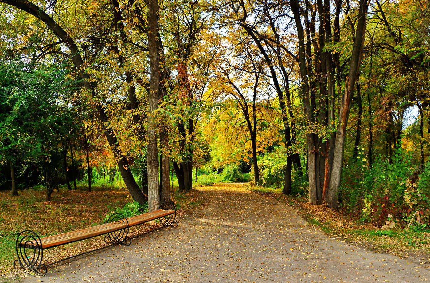 Осенняя аллея