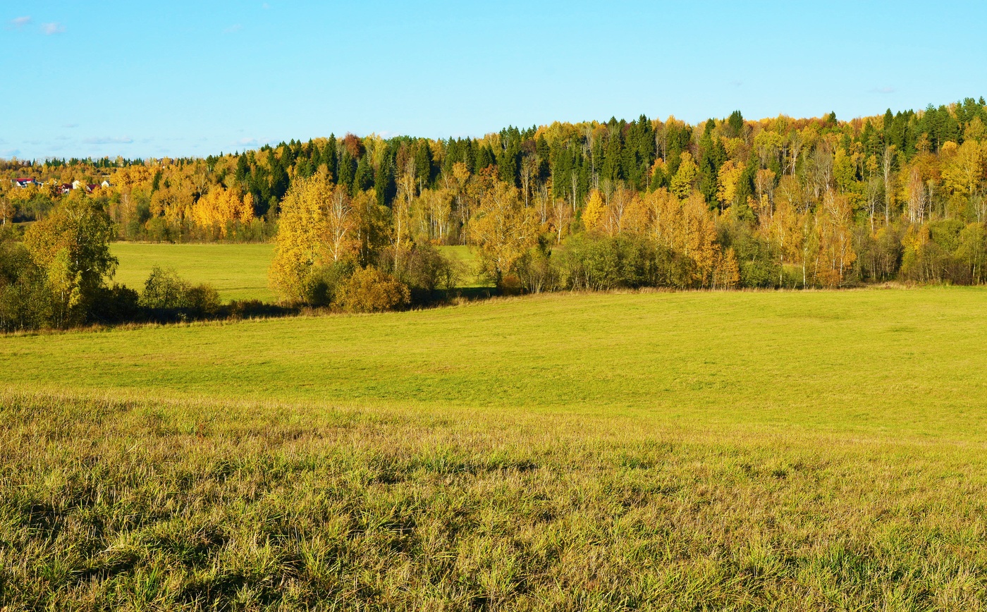 "И осень тихою вдовой вступает в пестрый терем свой"