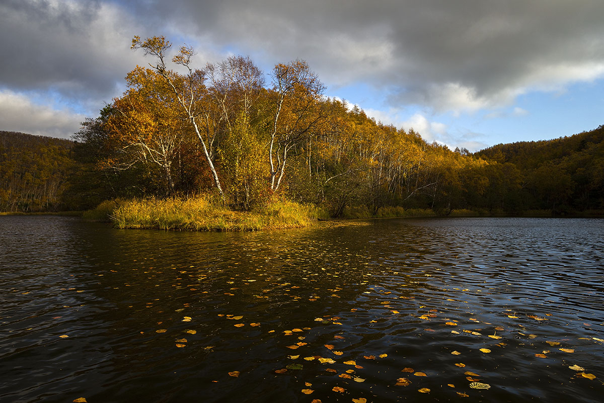 Дорога в осень
