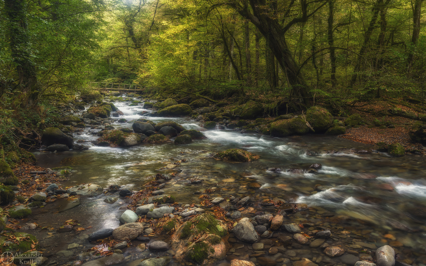 Заповедная Чвижепсе...
