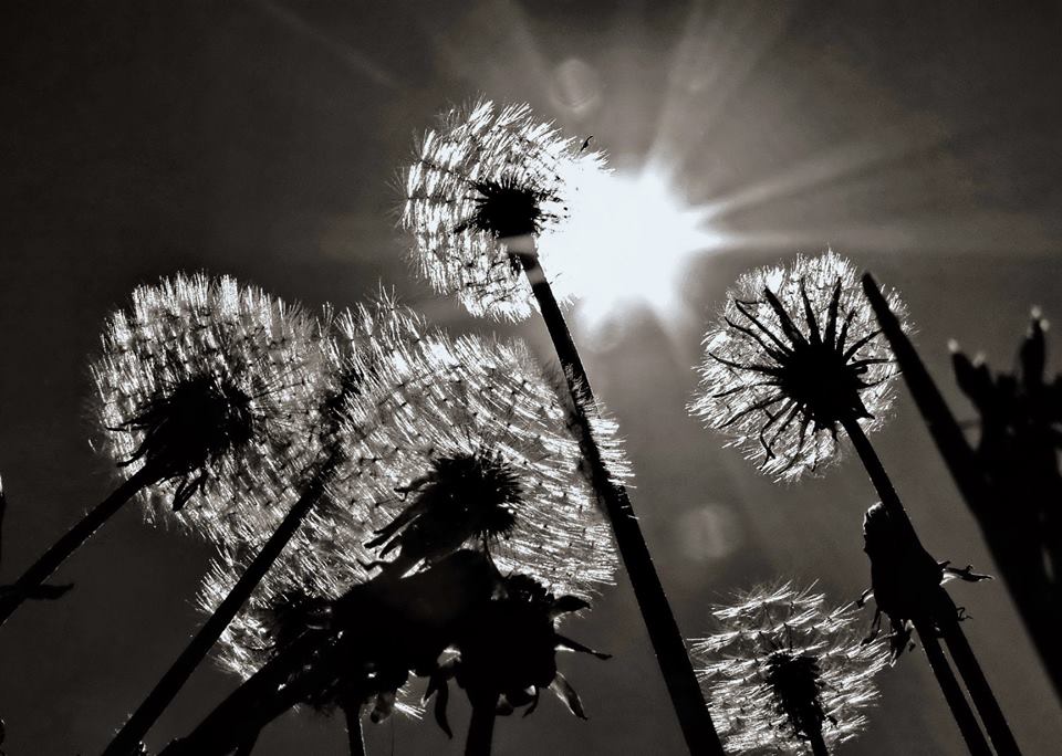 Солнечная круговерть.