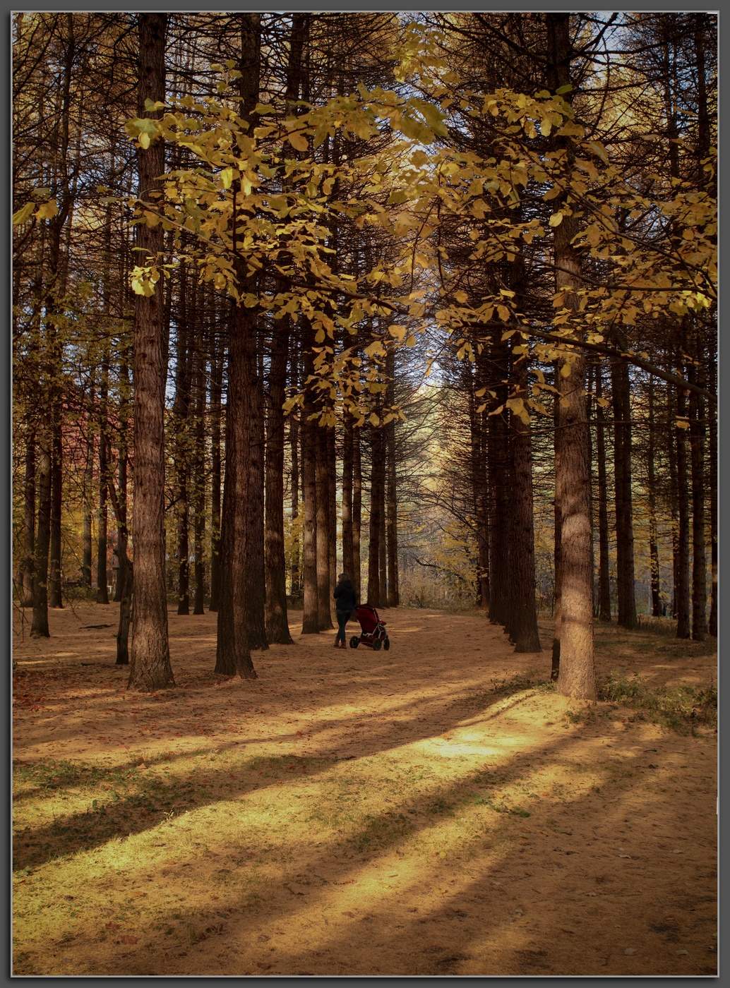 Краски осени