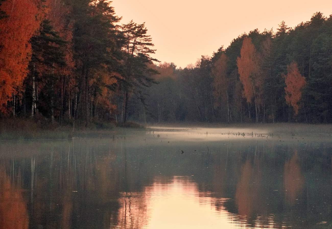 Близится осенняя ночь