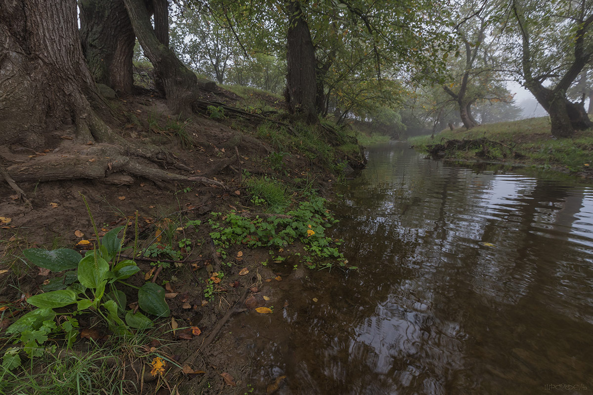 Унылая пора