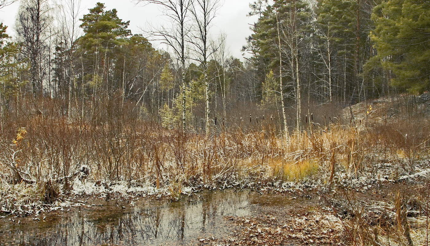 Поздняя осень.
